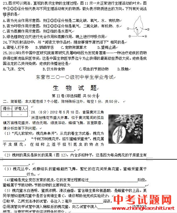 2012東營(yíng)中考生物試卷